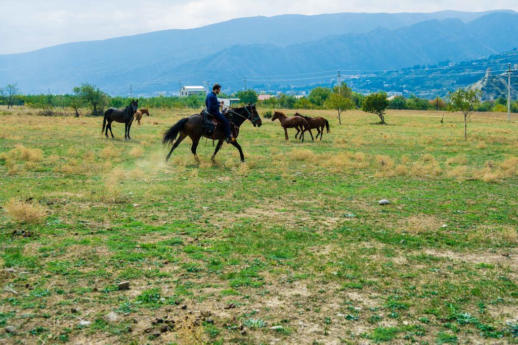 Zedazeni Hotel Mtsʼkhetʼa Εξωτερικό φωτογραφία