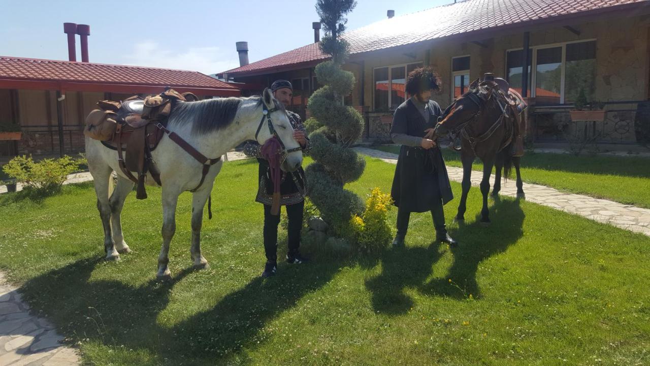 Zedazeni Hotel Mtsʼkhetʼa Εξωτερικό φωτογραφία
